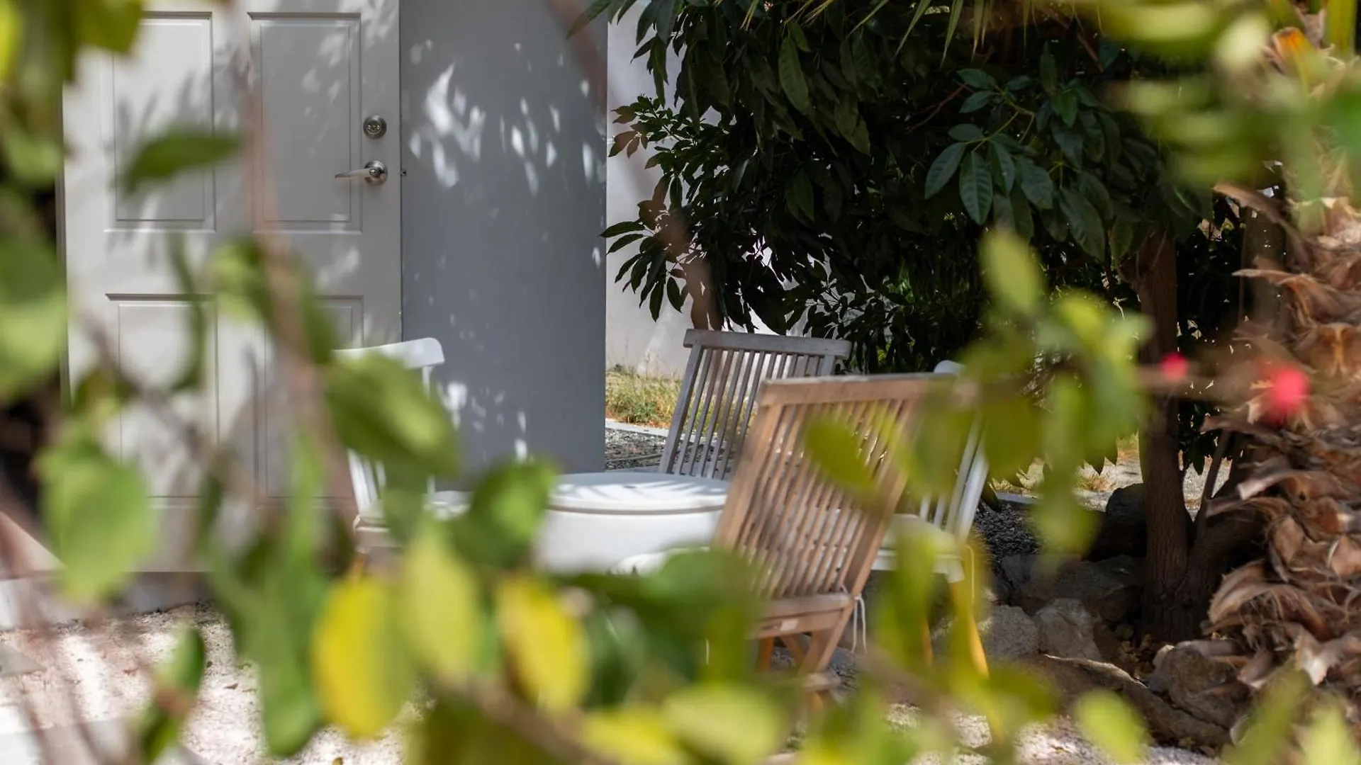 Rock Palma Apartments - Cozy, Spacious And Family Friendly Noord Aruba